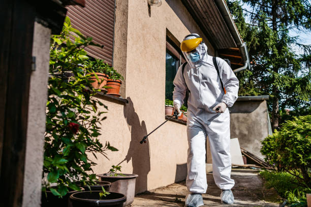 Wildlife Control Services in Champaign, IL
