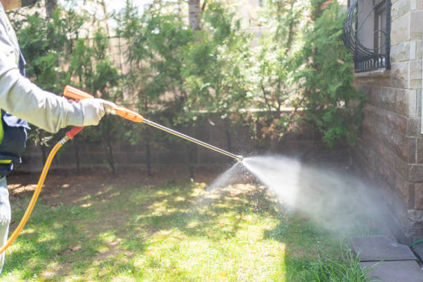Best Rat Extermination Near Me  in Champaign, IL