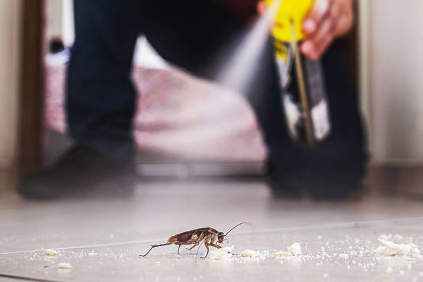 Best Insect Control  in Champaign, IL