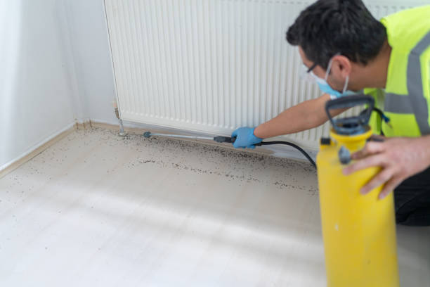 Best Cockroach Control Services  in Champaign, IL