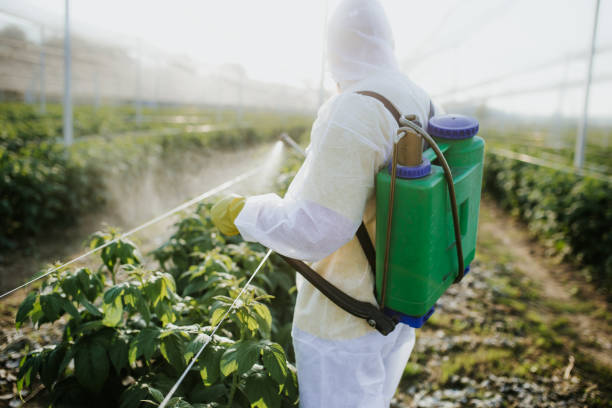  Champaign, IL Pest Control Pros